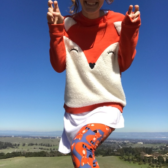 Hold Fox Sweater 🦊 Sweatshirt Hoodie Orange - Picture 4 of 5